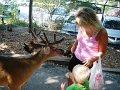 August2008 034